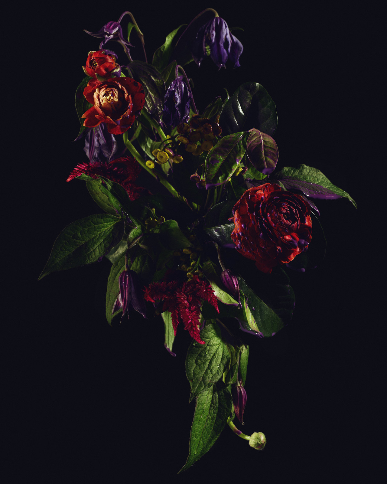 GUCCIROUGE_PURPLE_OT_24569_02_FNL